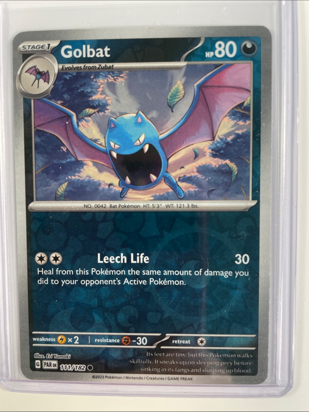 Pokemon Golbat Card - Blue & Purple